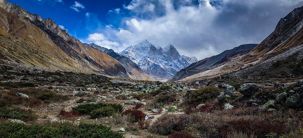 Gaumukh tapovan trek